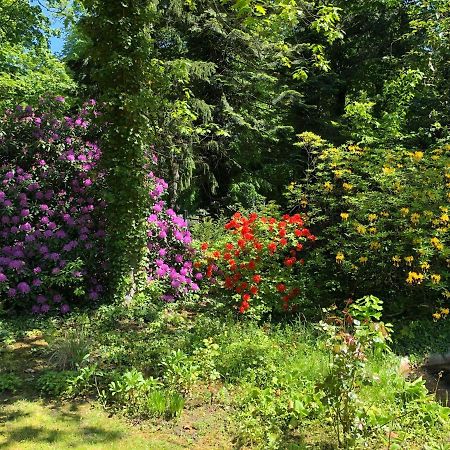 Ferienhaus Hudemuehlen Keine Monteure Hodenhagen Eksteriør bilde